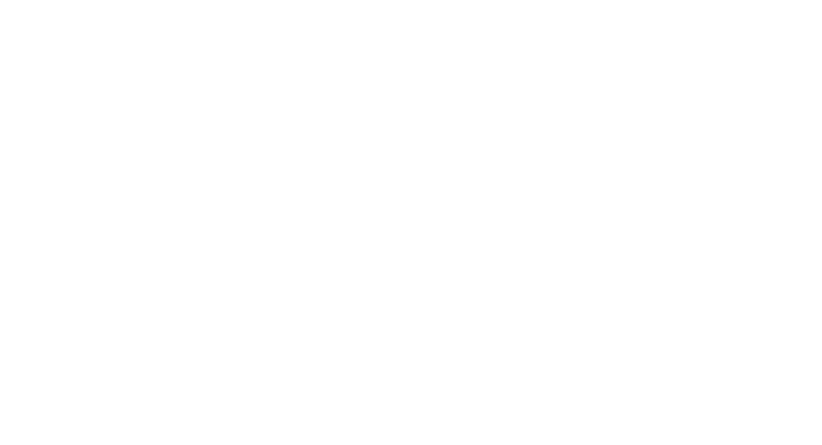 Lauren Bradshaw Design