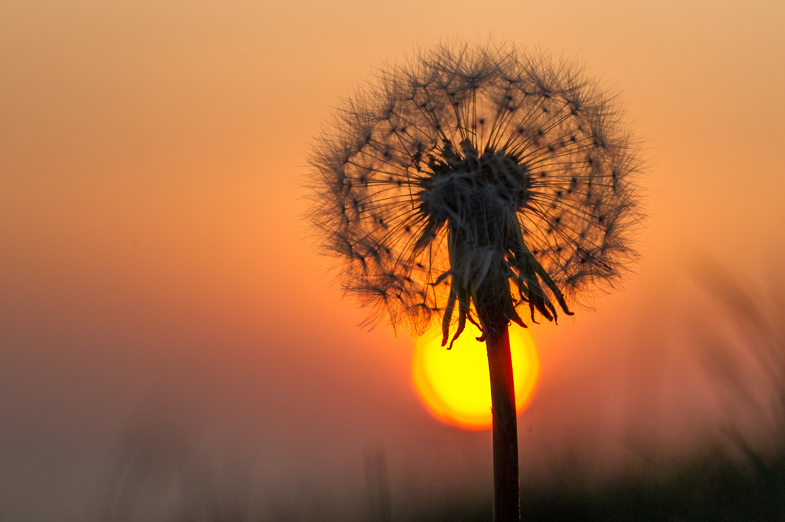 Sunset peace