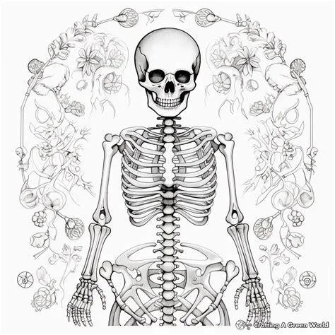 Bones and Teeth: A Halloween workshop with Nancy Mellon