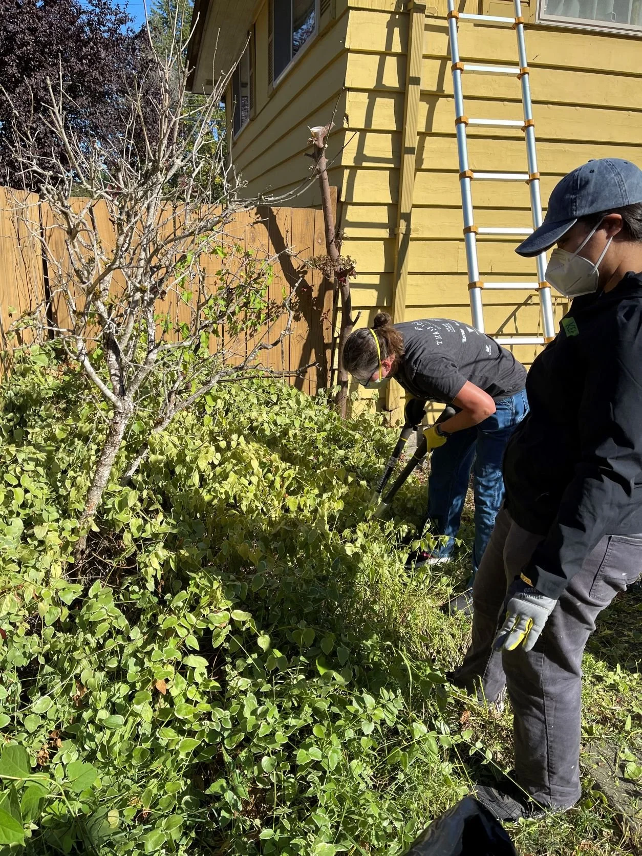 National Rebuilding Month Gaspar's Construction + Wilson Sonsini