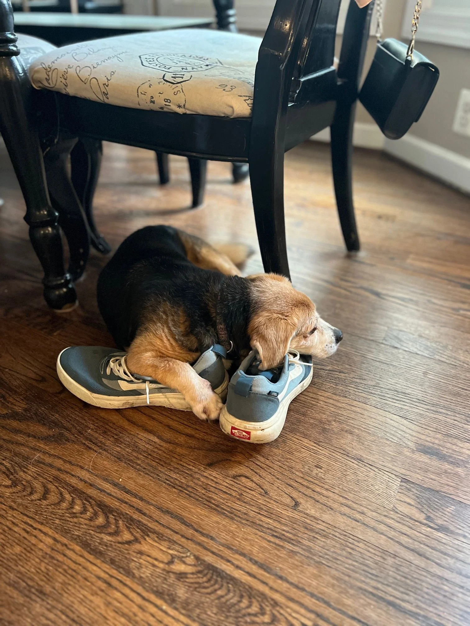 The Comfort of Home