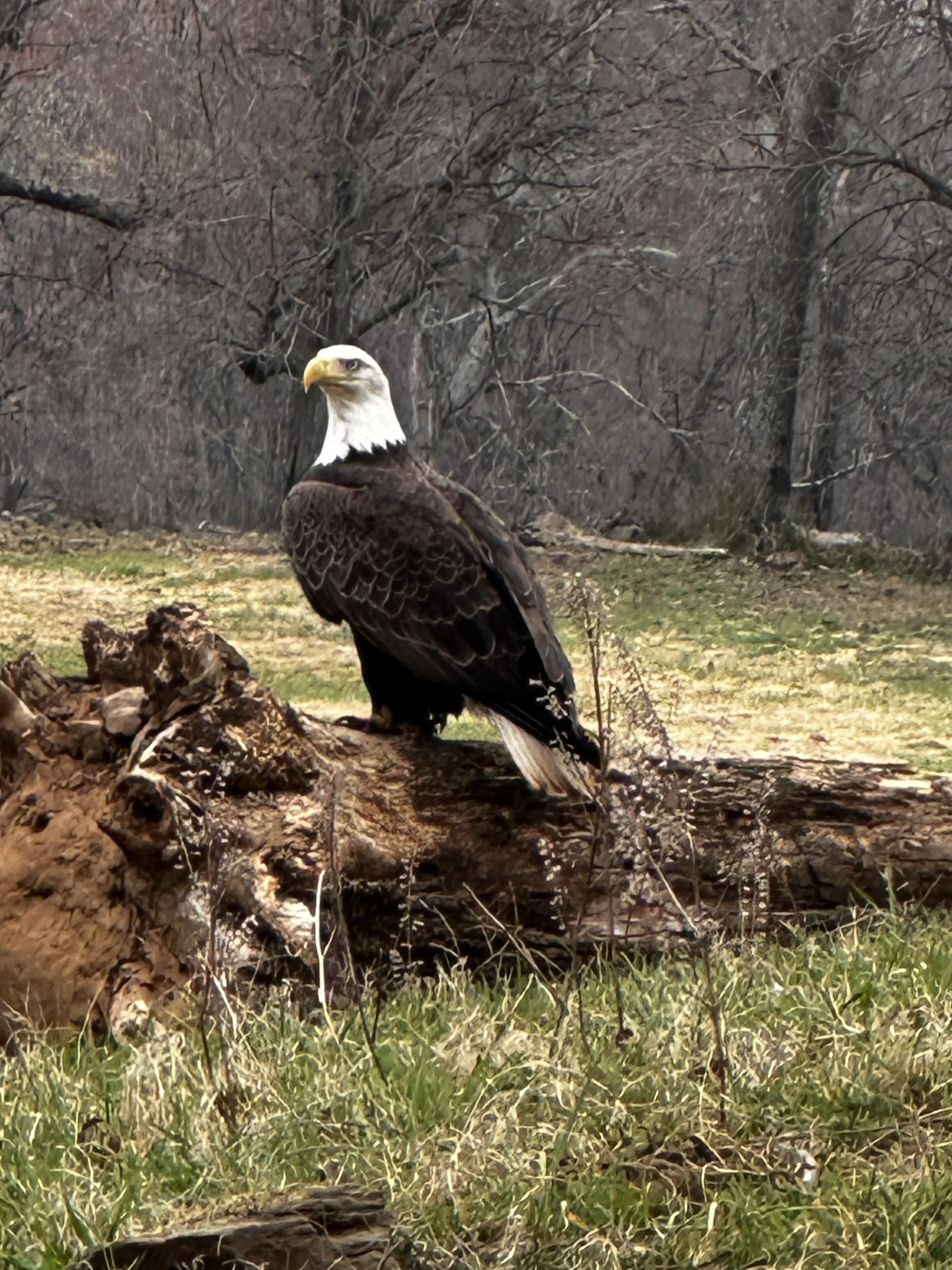 The Wonder of Nature