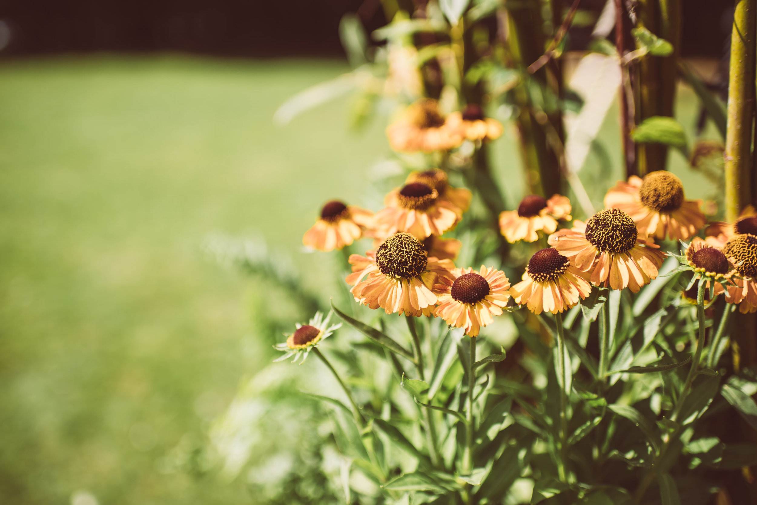 knepp-castle-boho-outdoor-wedding-15.jpg