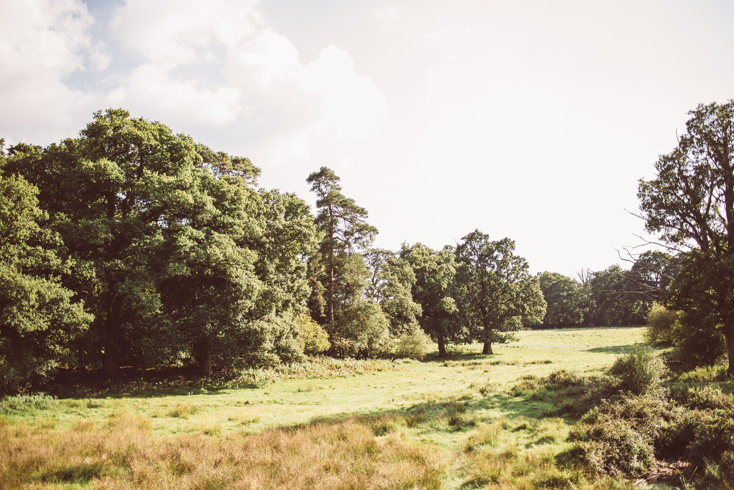 knepp-castle-boho-outdoor-wedding-383.jpg