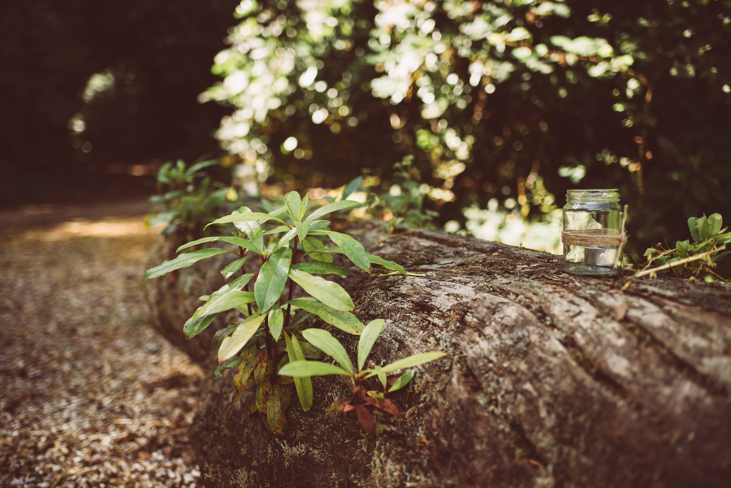 weddings-in-the-wood-rustic-garden-party-wedding-33.jpg