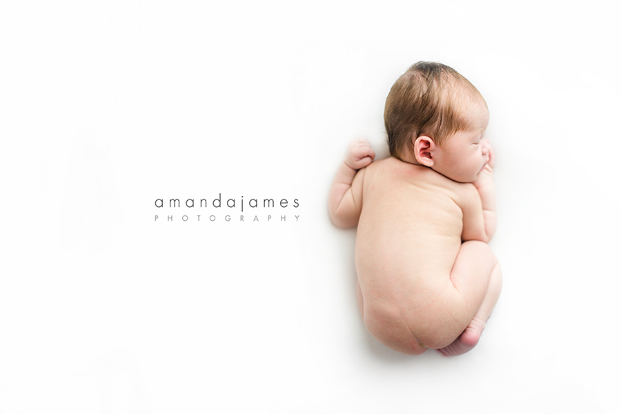 charlotte newborn photographer