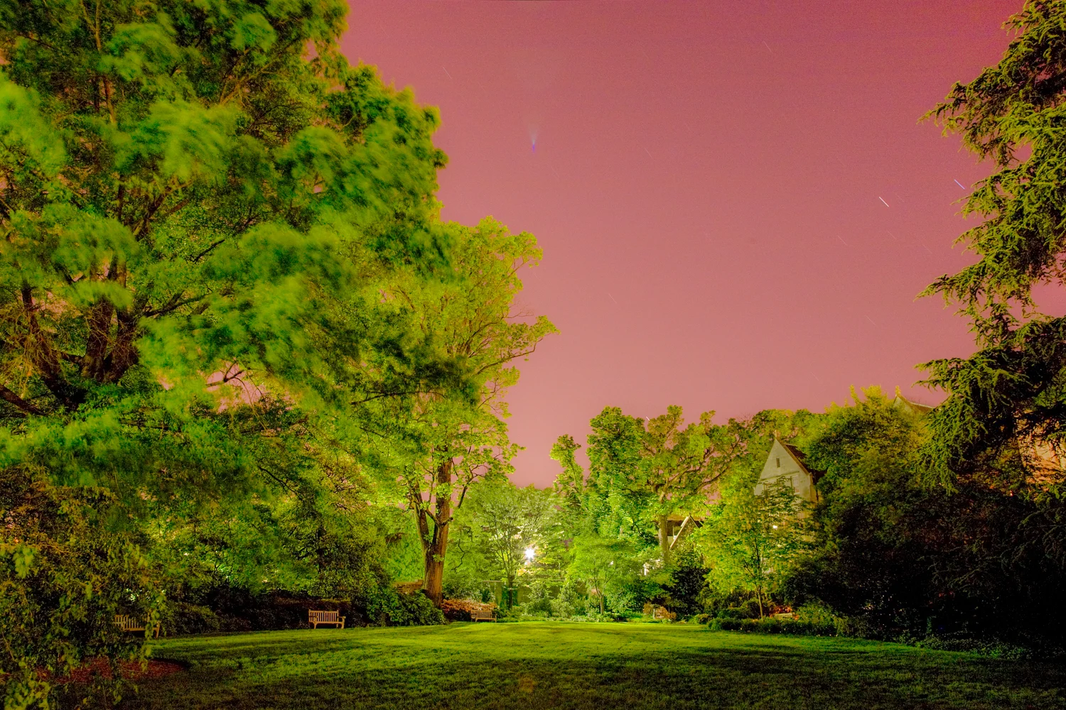 BG overall 1.jpg