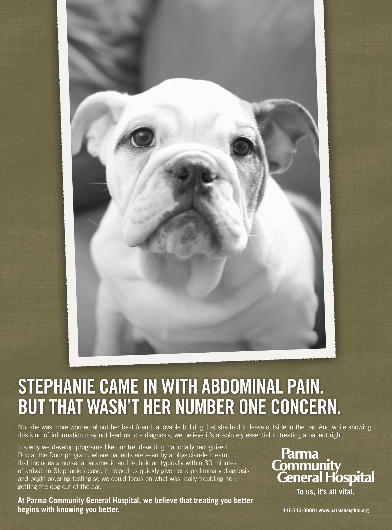 Parma General Print — Stephanie