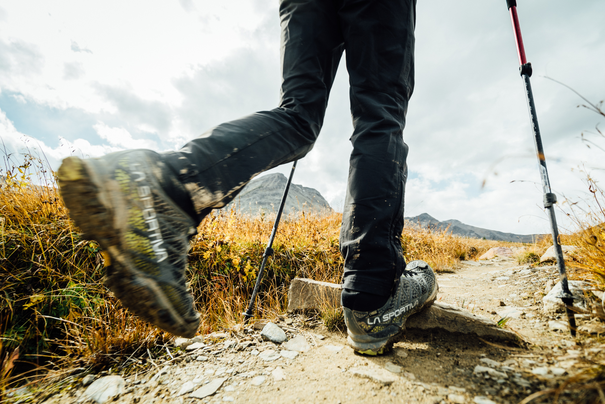 Alberta-SEP15-SkylineTrail-5.jpg