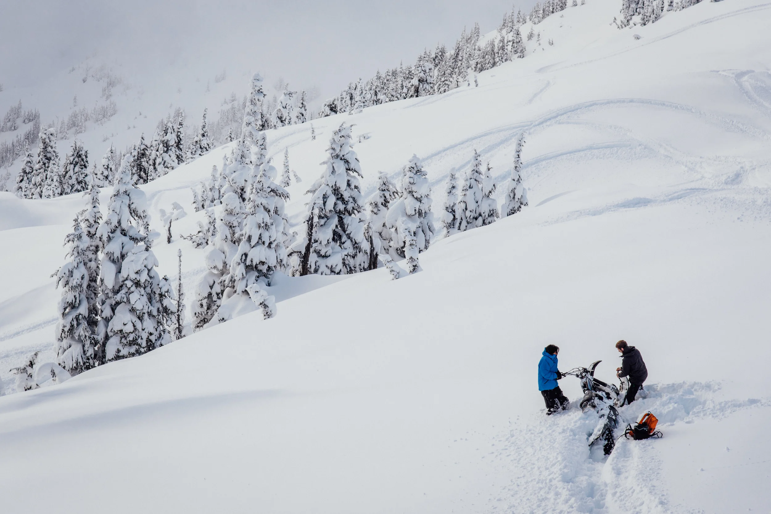 BC-Feb16-22.jpg