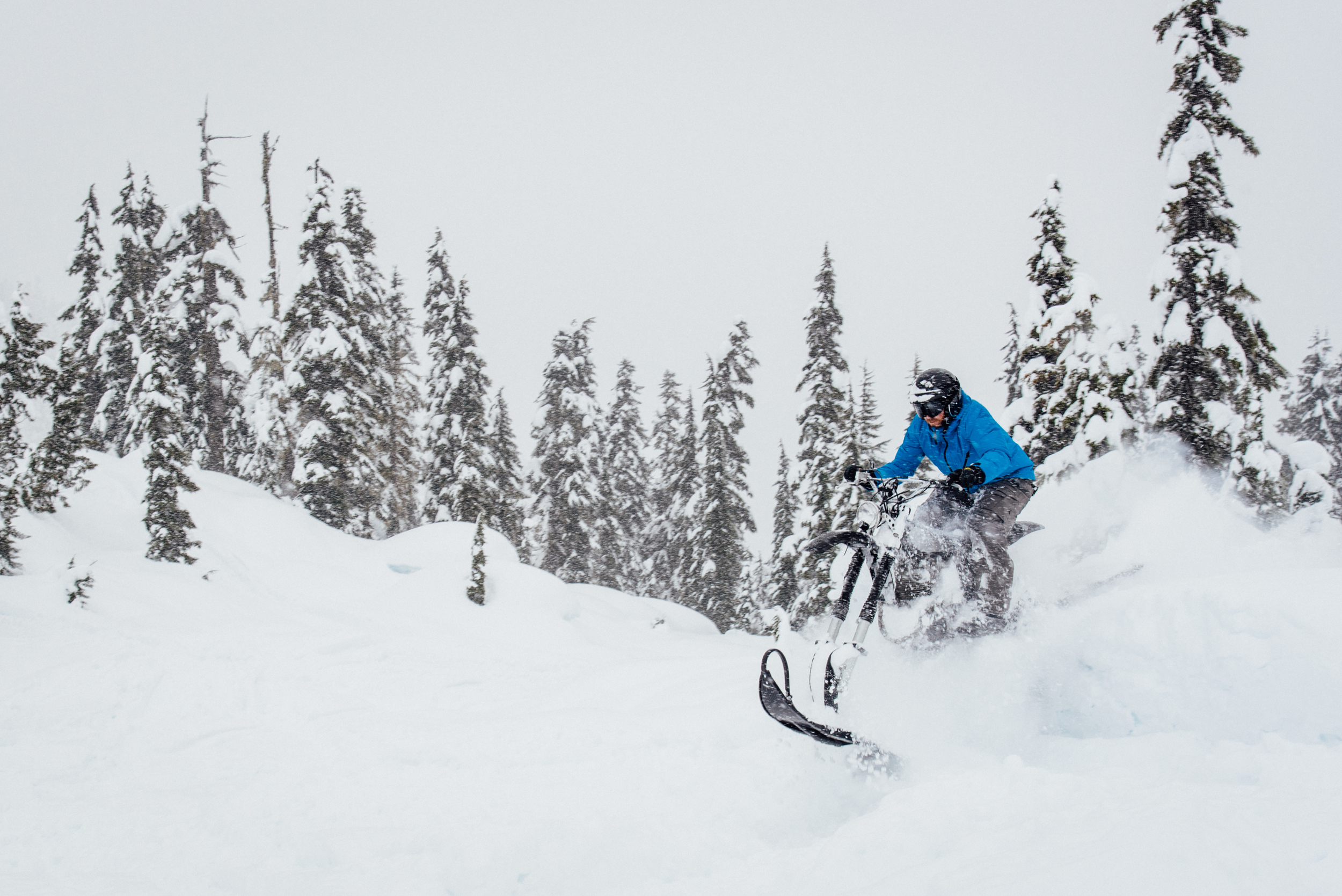 BC-Feb16-32.jpg