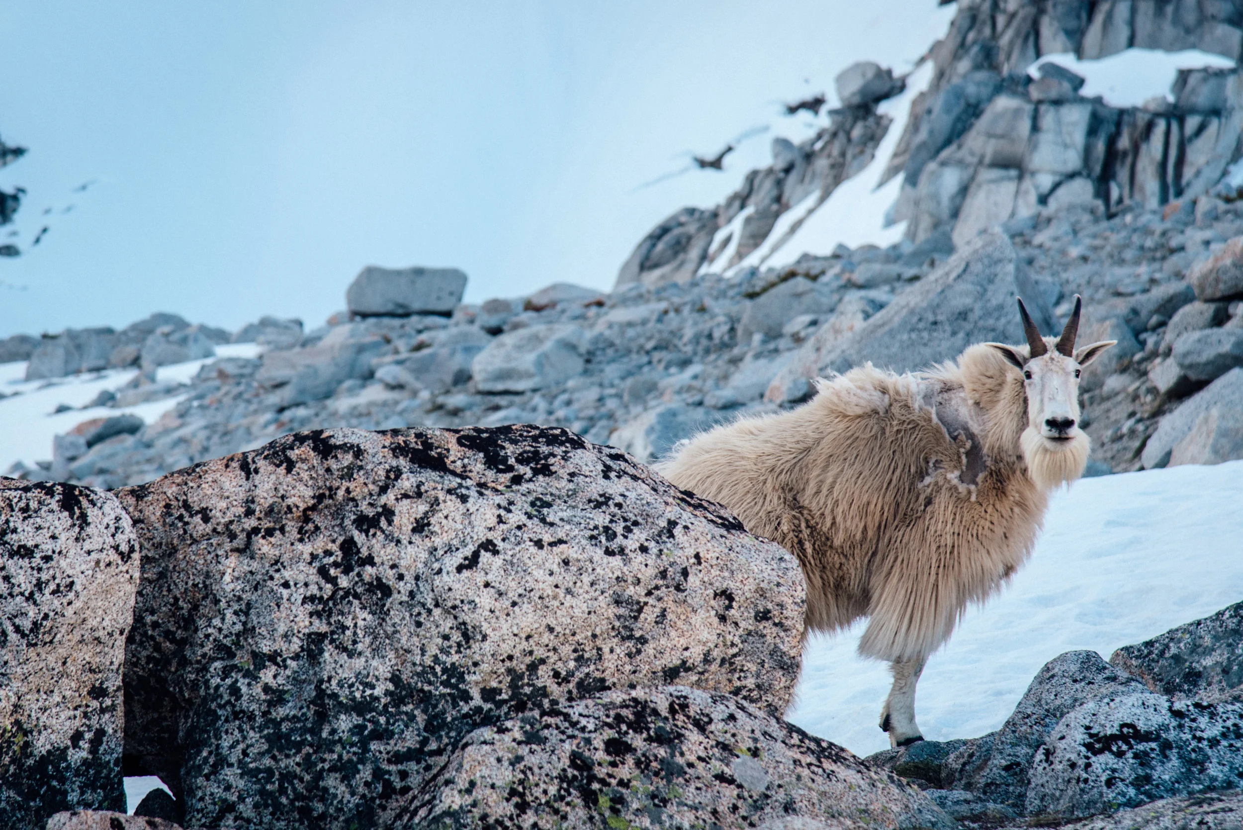 Enchantments-JUN16-5.jpg