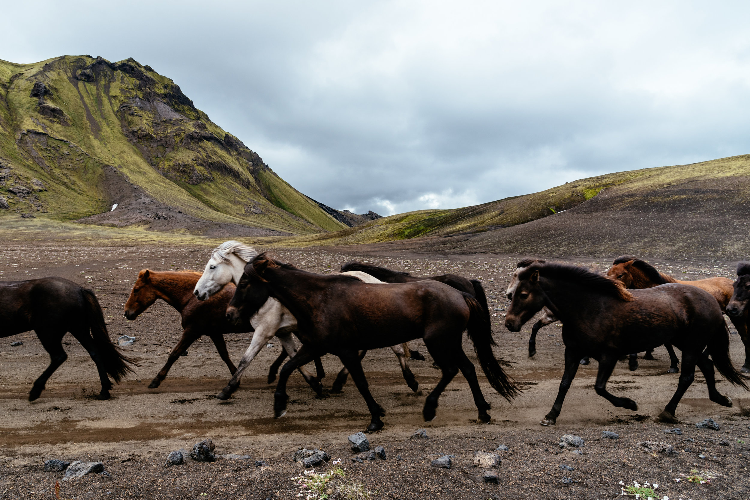 Landmannalaugar-4.jpg