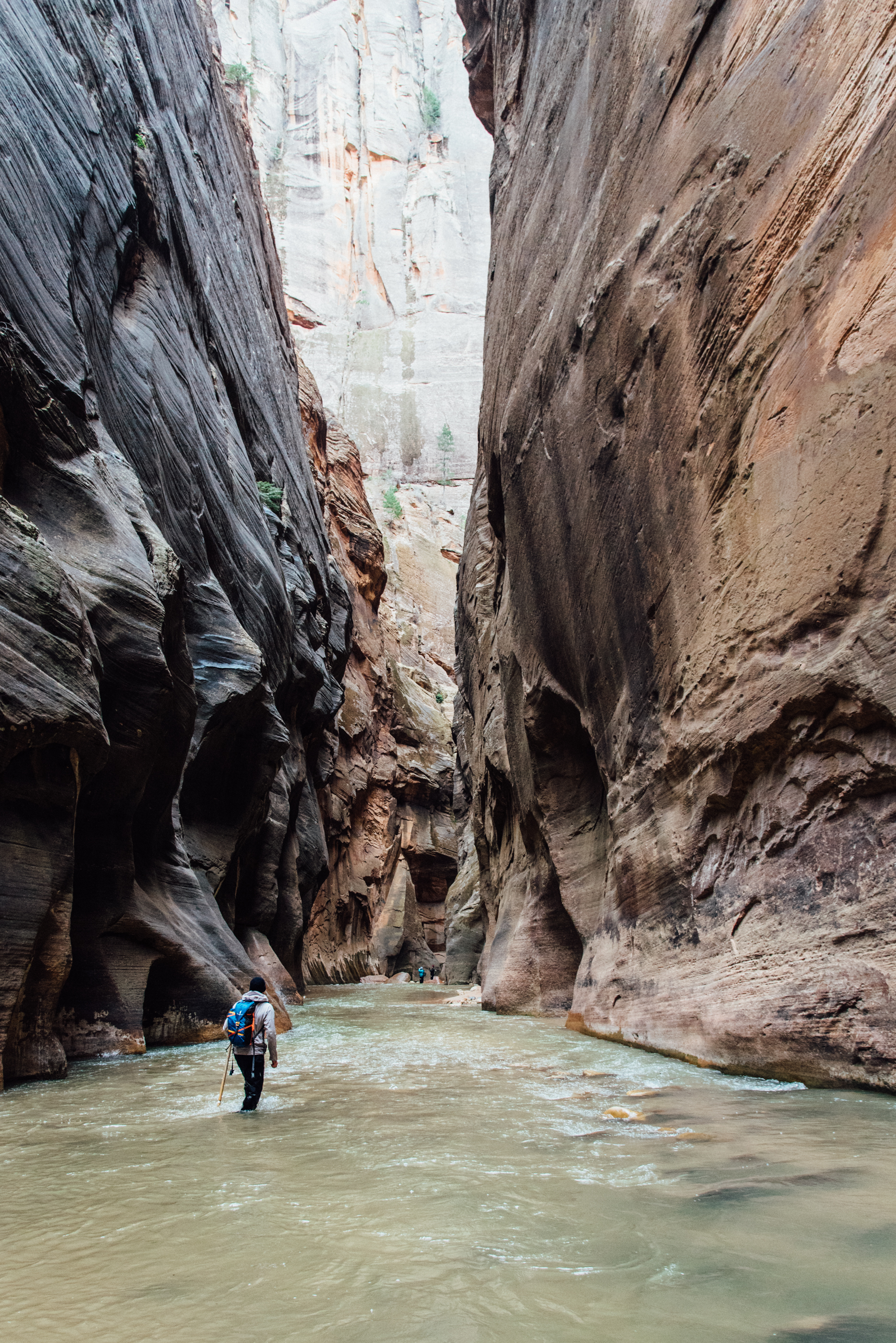 Zion-2.jpg