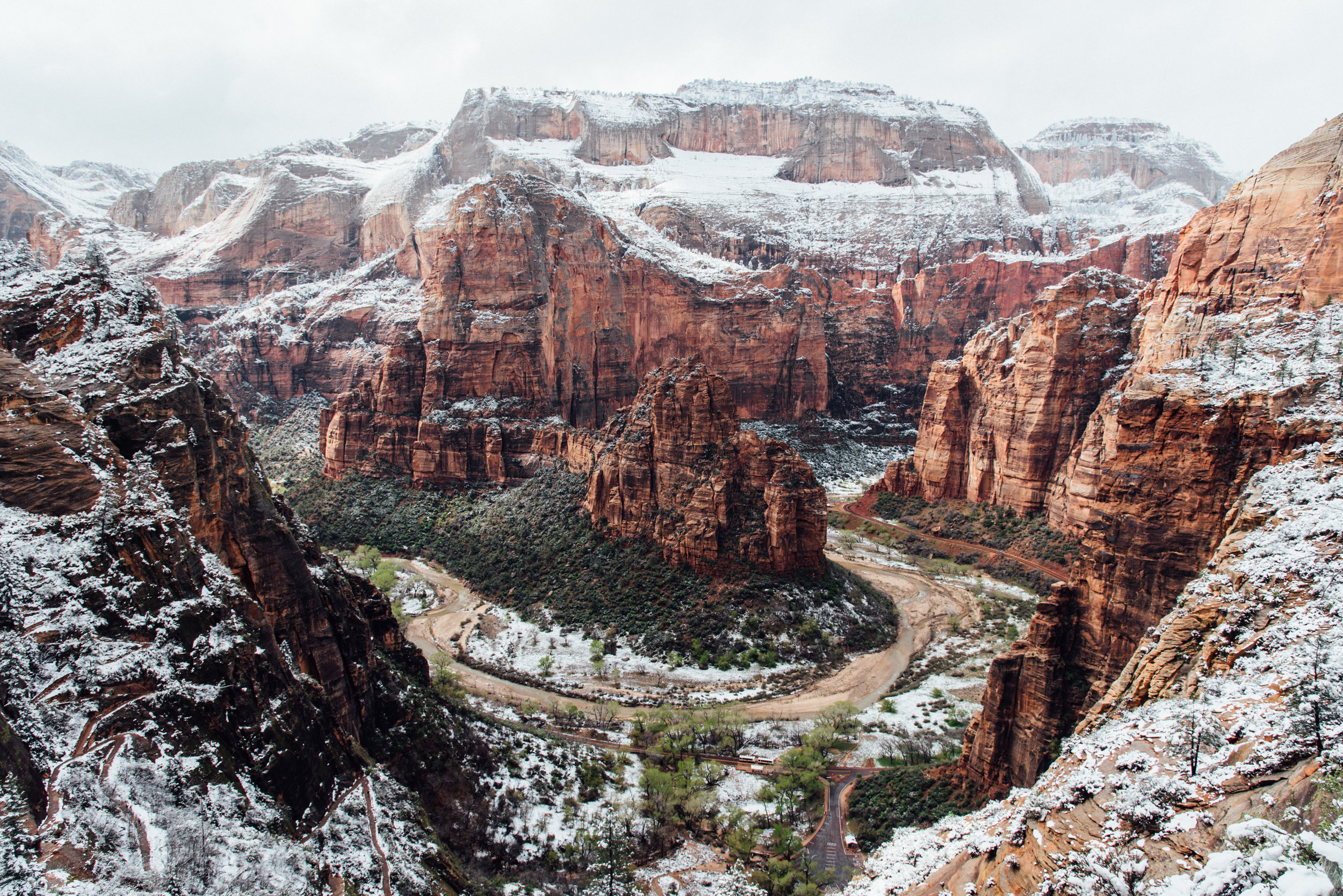 Zion-1.jpg