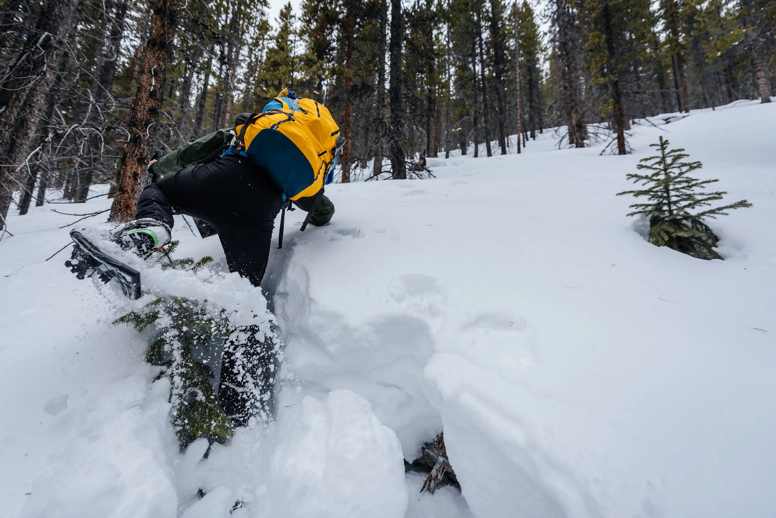 Snowshoeing again, after I had sworn off snowshoeing.