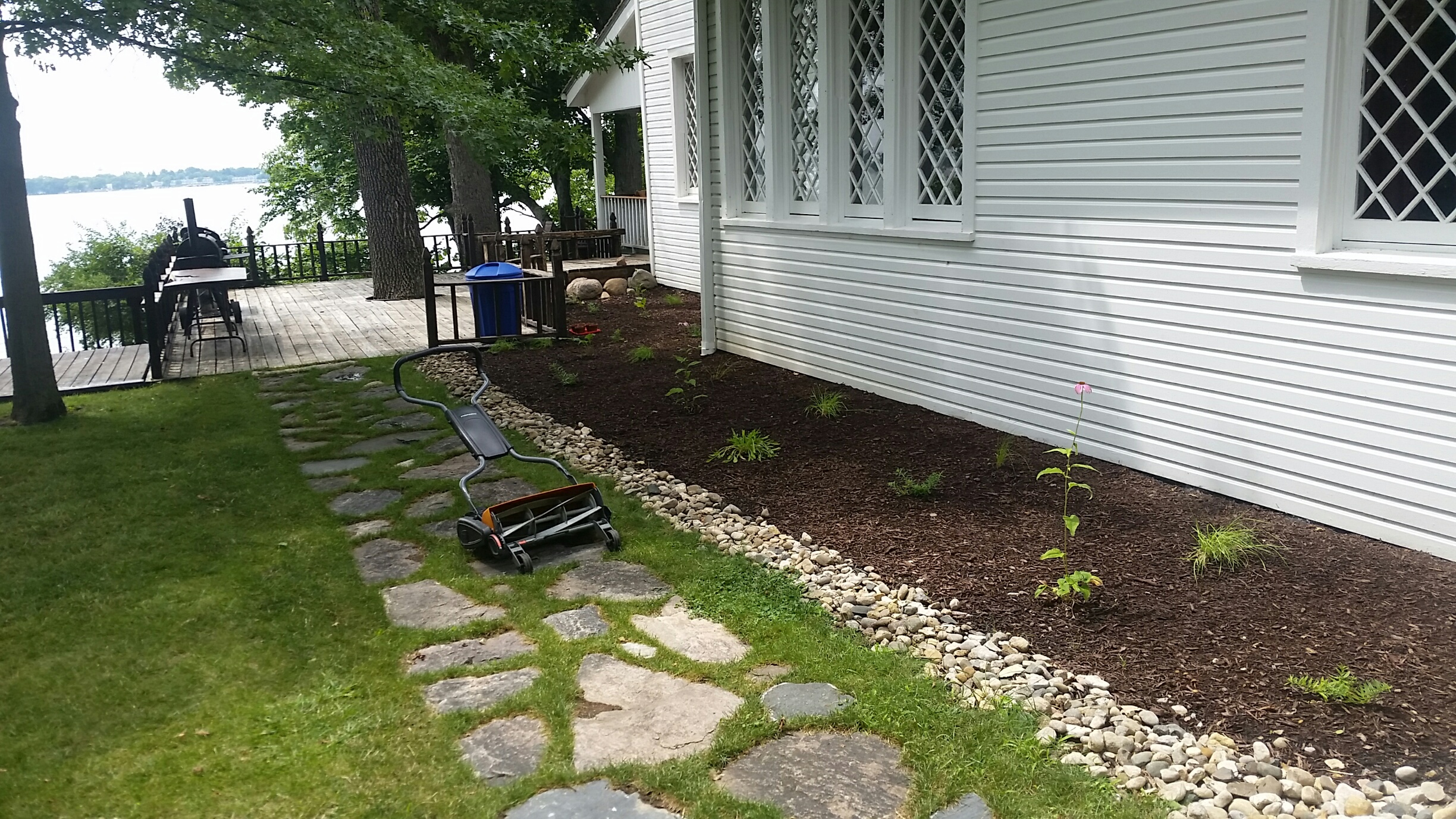 The side bed with new Fisker Reel Max mechanical push lawnmower and one of two emerging flowers from this years JF New Plugs