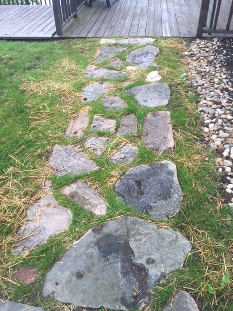 after, and it's lush and grassy now...