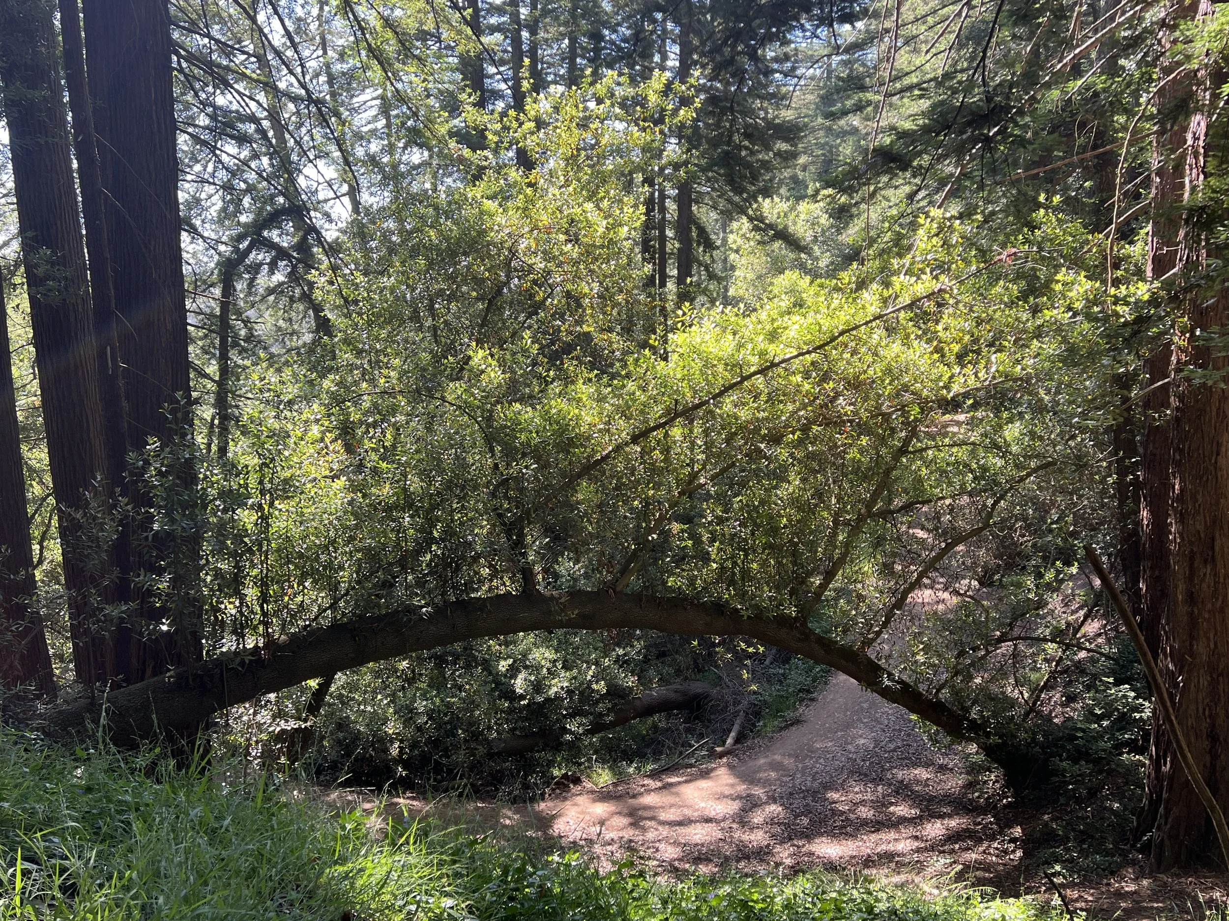 “We learn more from people who challenge our thought process than those who affirm our conclusions.”