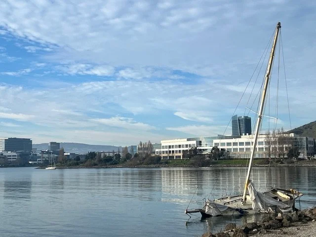 Case Study: Apple Tree Partners and Rigmora Holdings