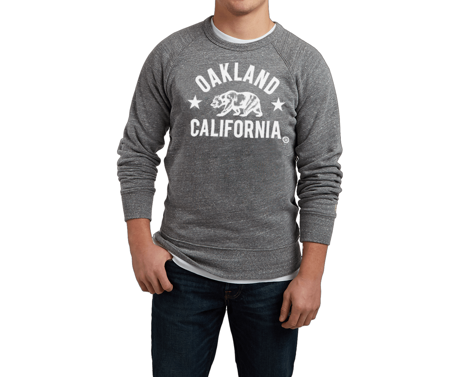 Sky_Oak_Co_Oakland_California_grey_crewneck_sweatshirt_mens_model.png