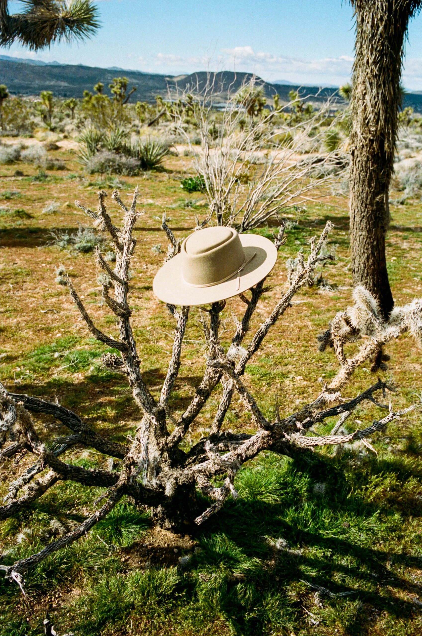 Seager x Stetson - Mcabe-60.jpg