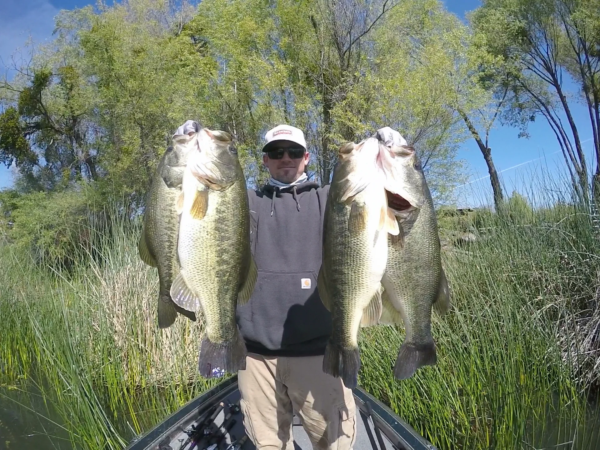 4-13-15 4 pack.jpg