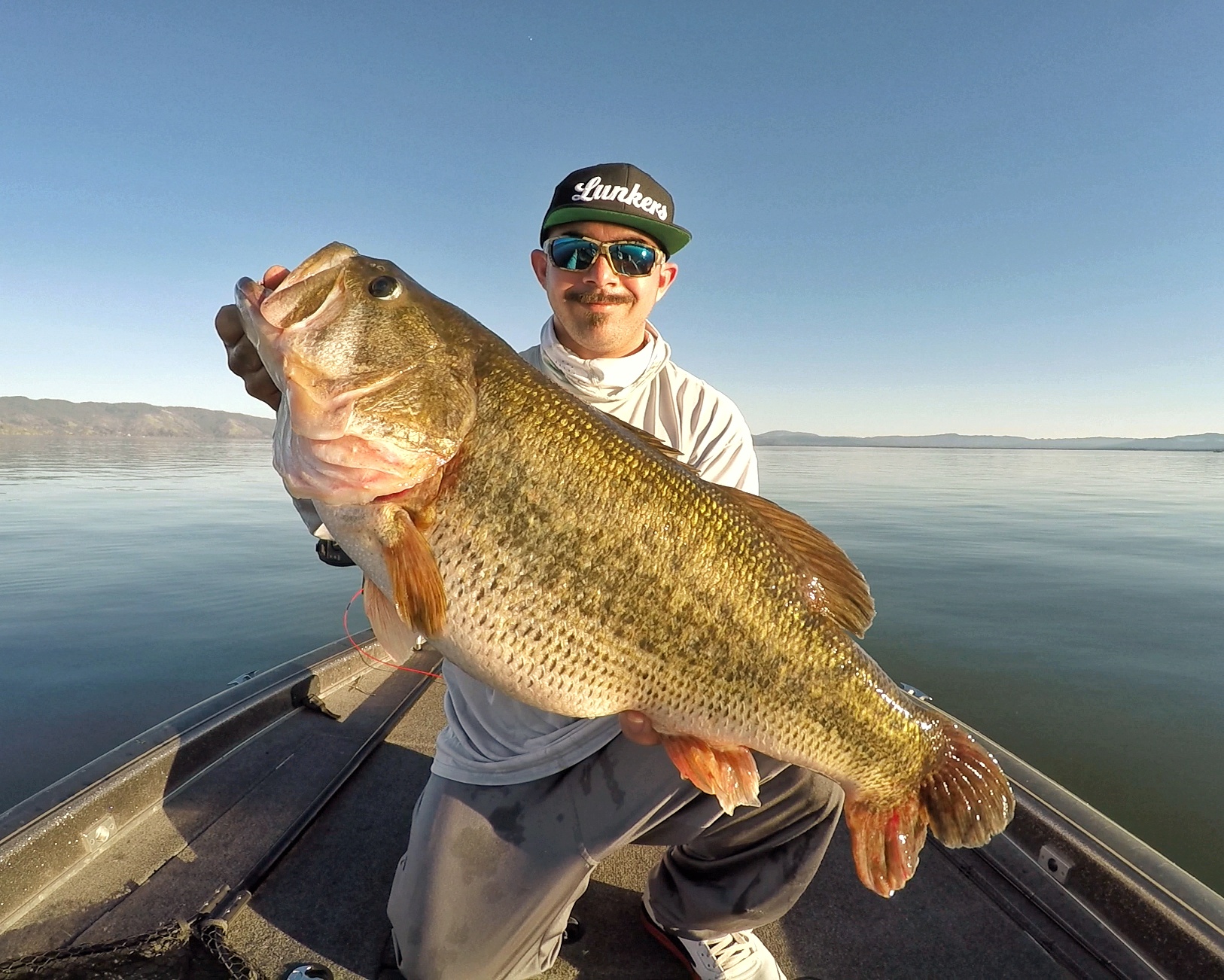 Steve 12 lber3-01.jpeg