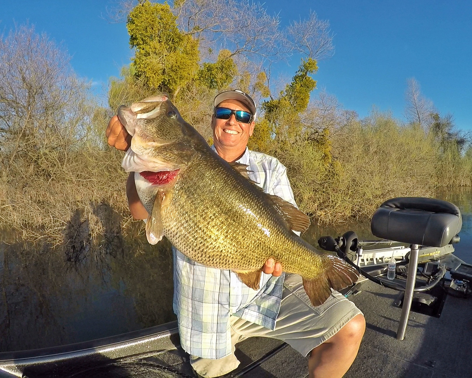 11 lber-01.jpeg