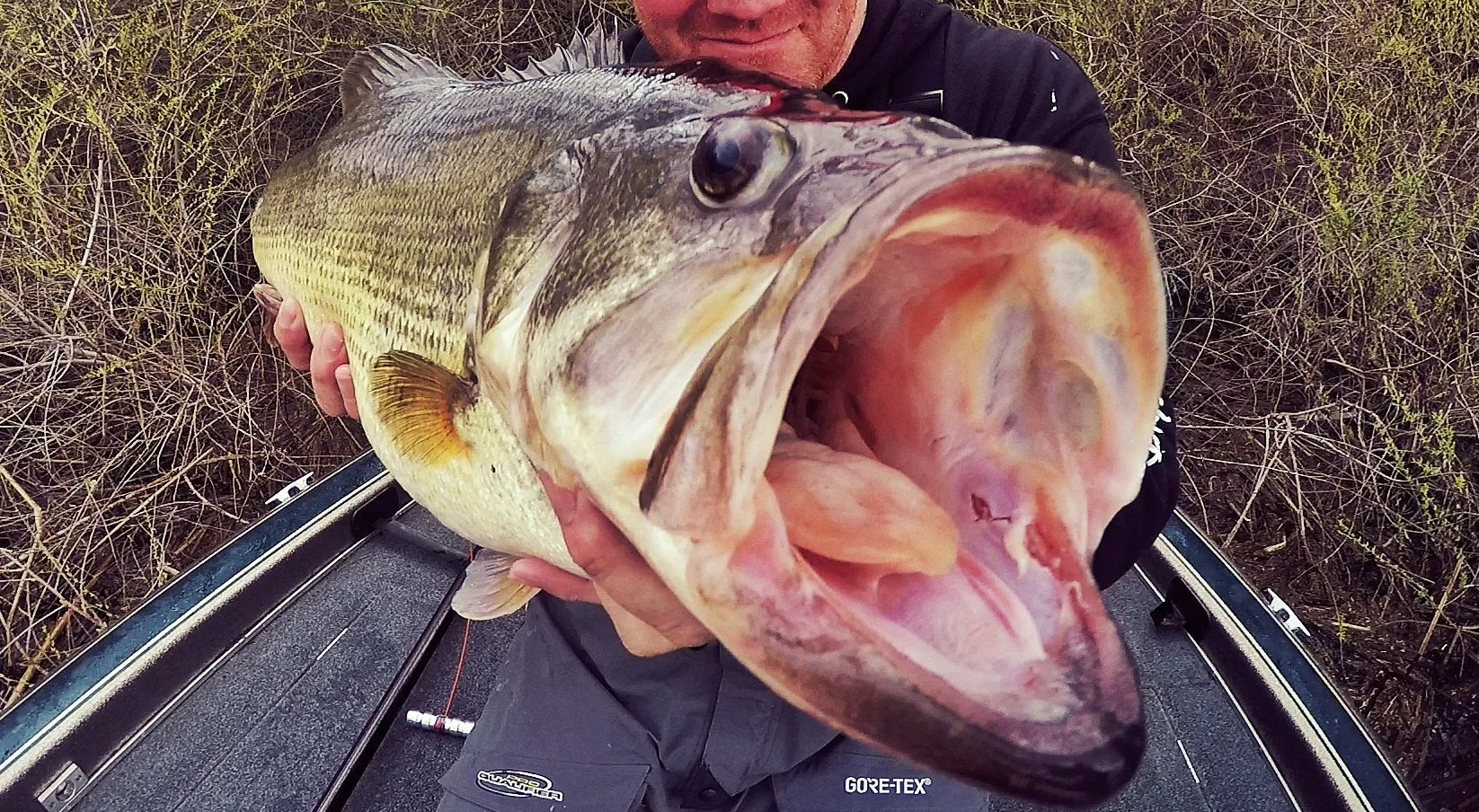Steve 11 mouth-1-01.jpeg