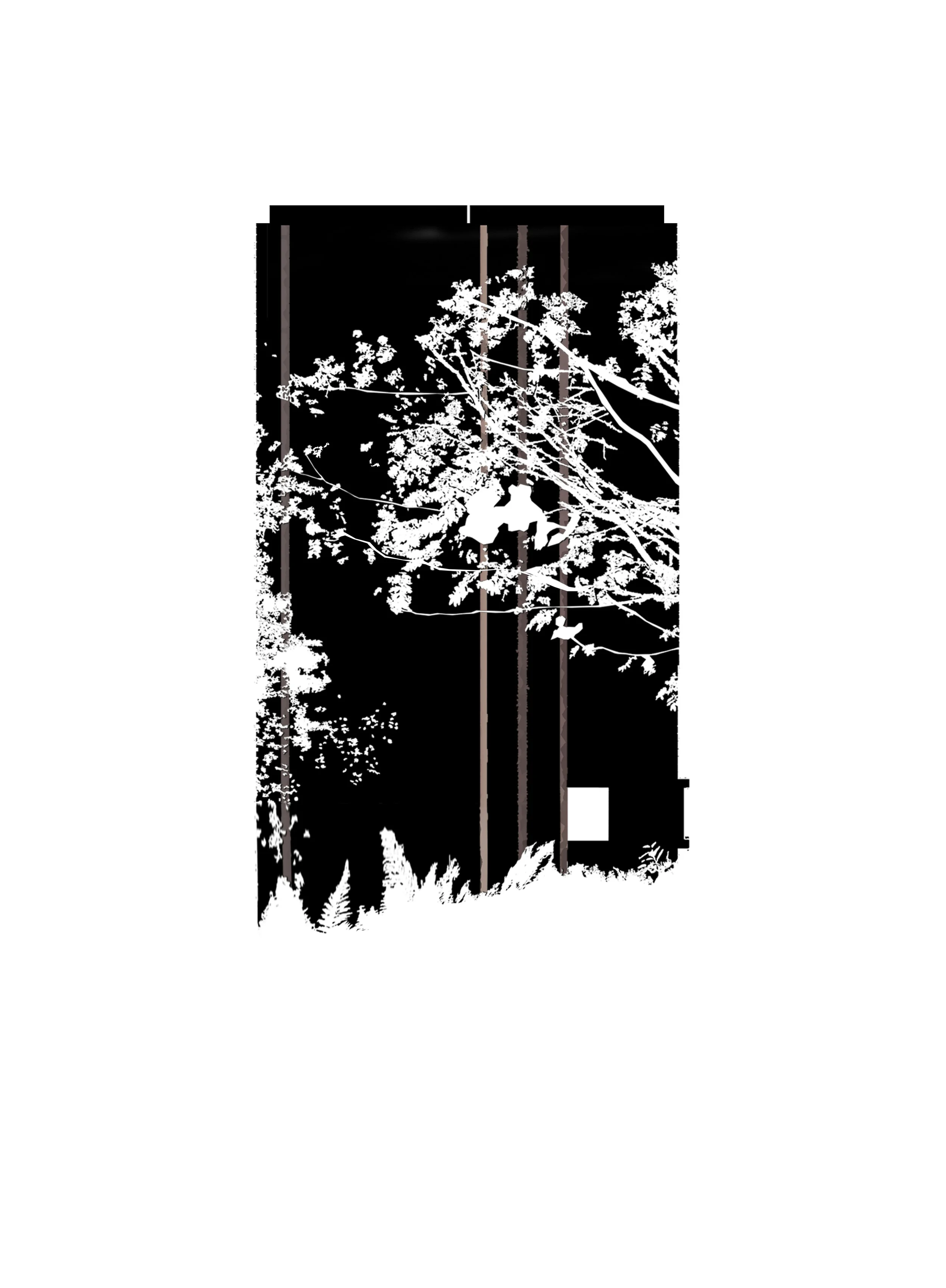 bild3 (1)SDFS copy dftg.jpg