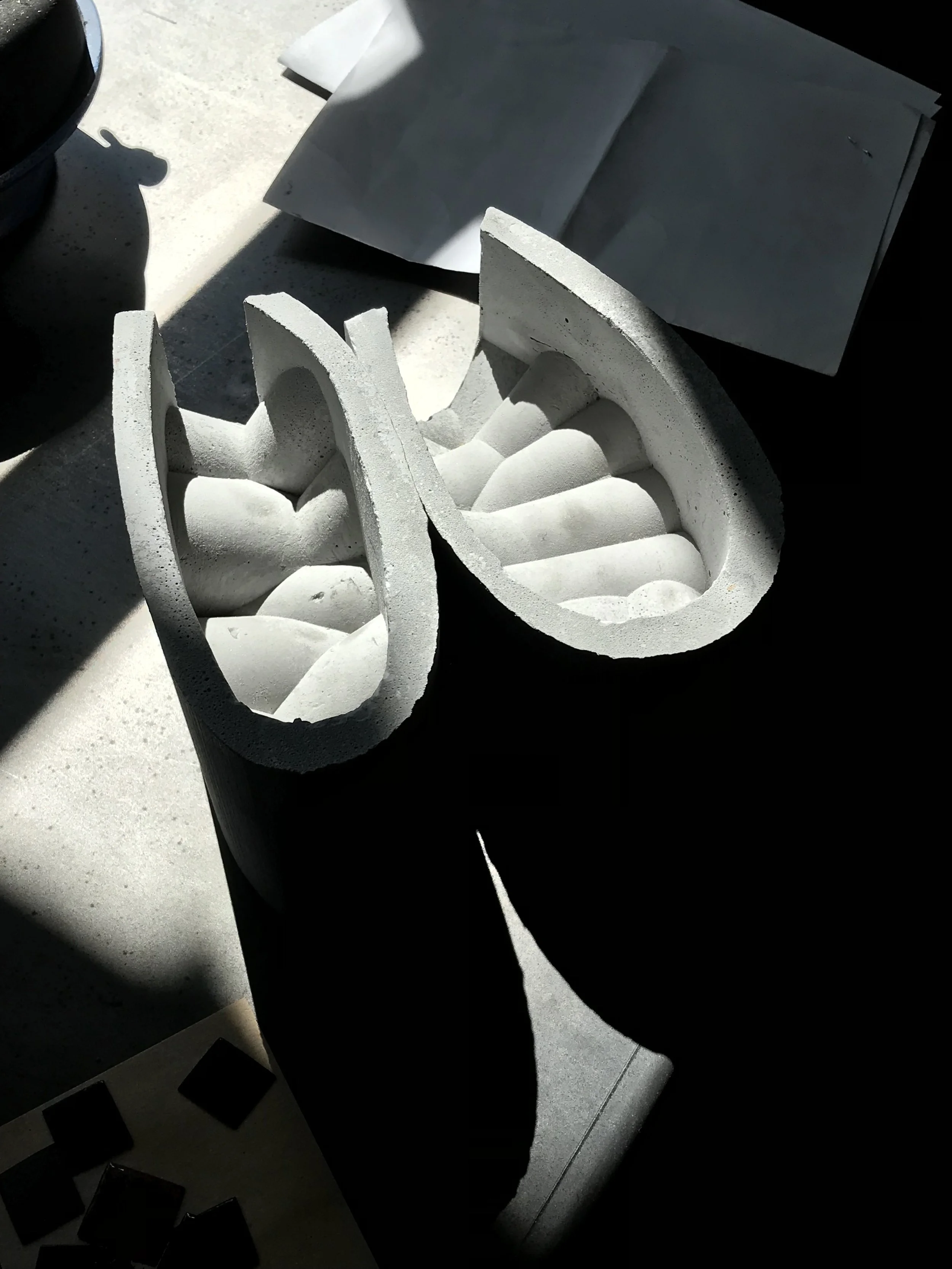 IMG_1516.jpg
