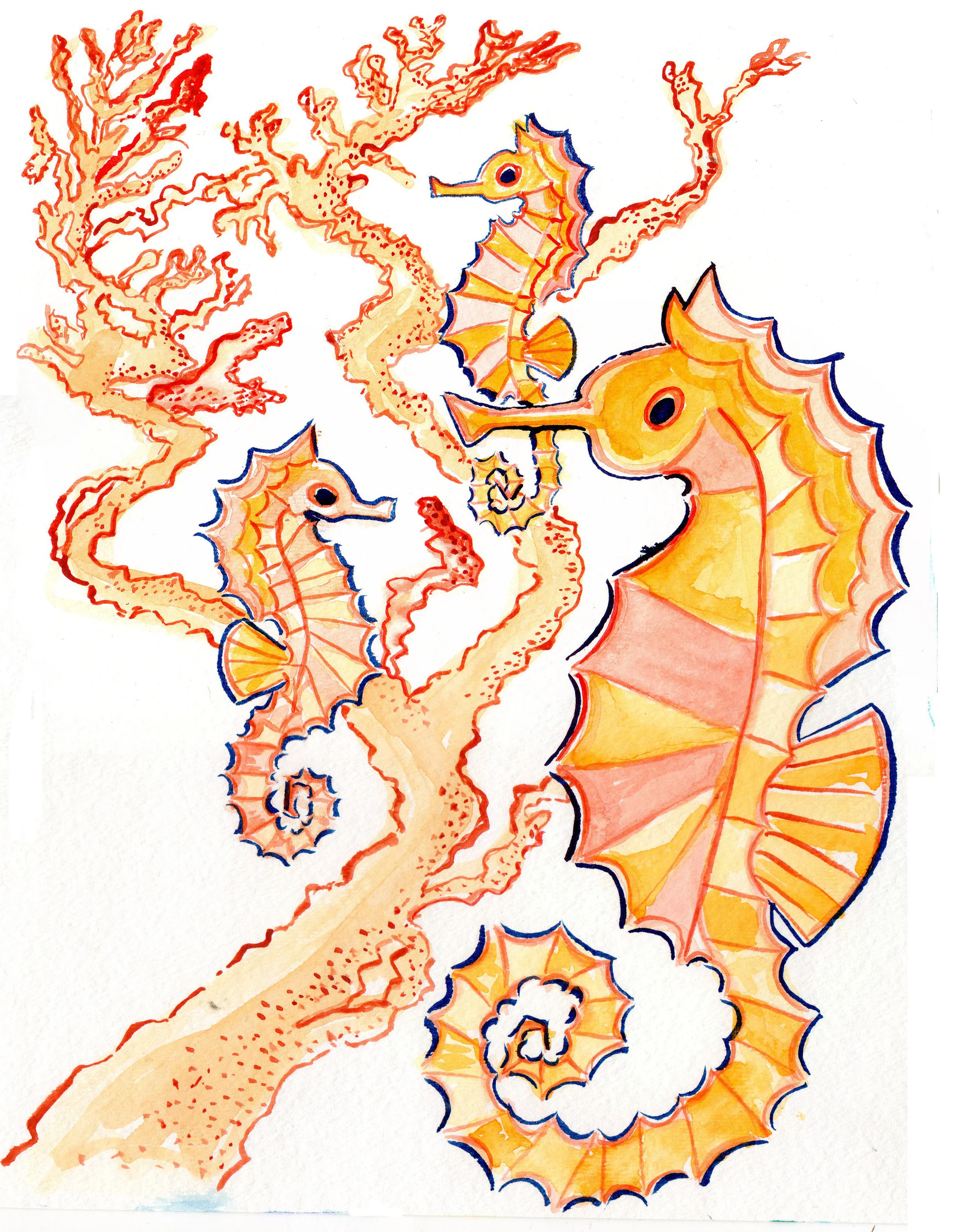 seahorsesillustration.jpg