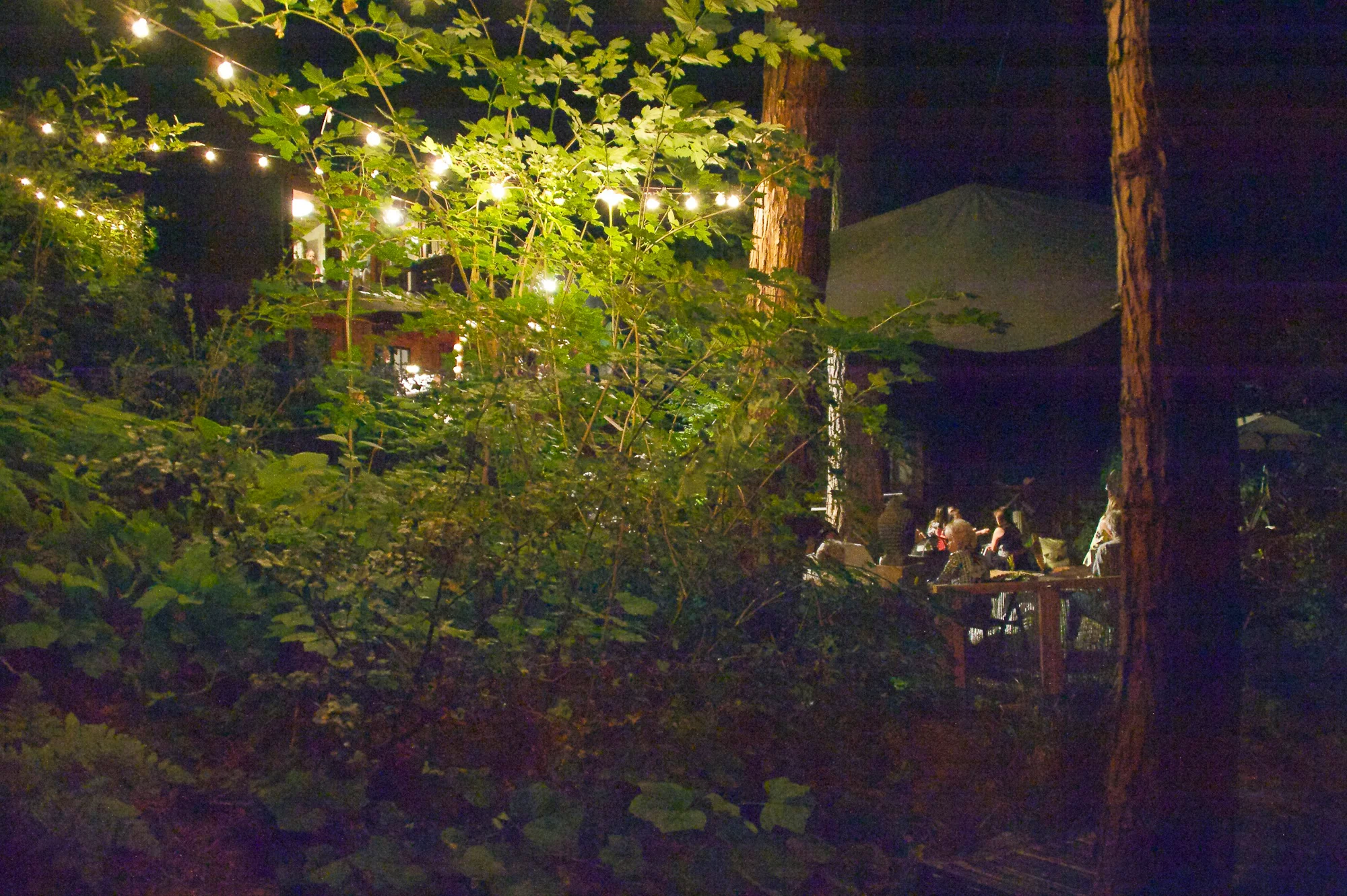 1c-party-at-cabin.jpg