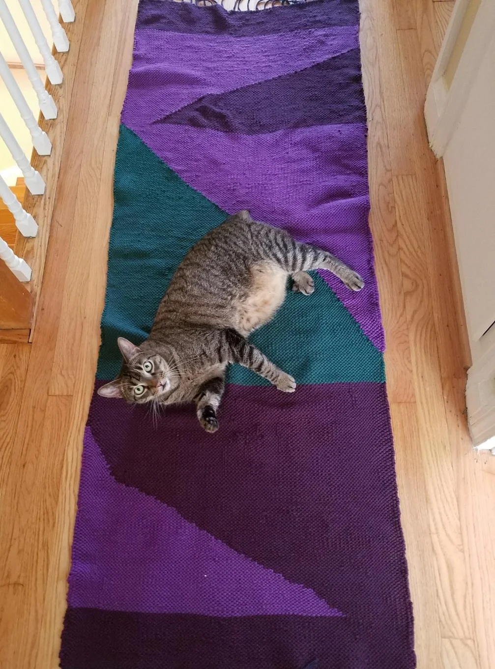 A custom rug, handwoven cotton. Cat approved!