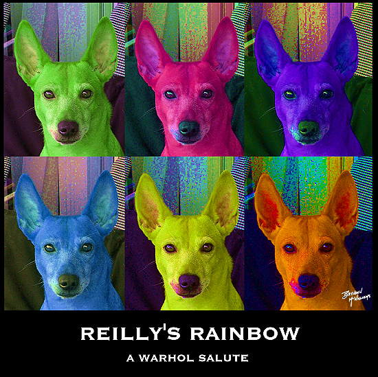 reillyrainbow.PNG