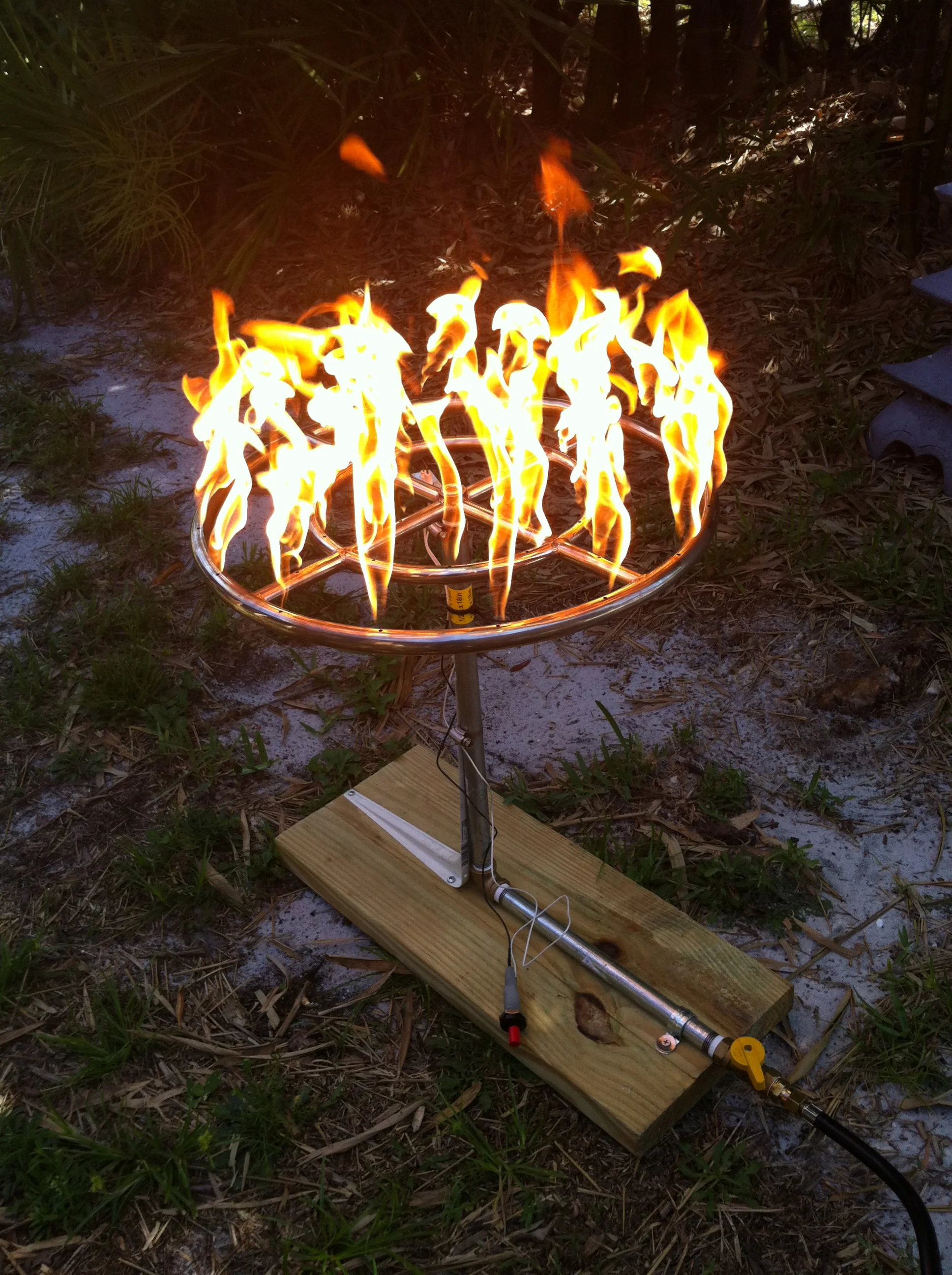 picdumpnov13 1172.JPG