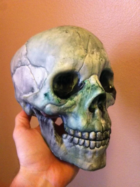 Alas, poor... Yorick? Reginald? Larry? They all look alike after a few months.
