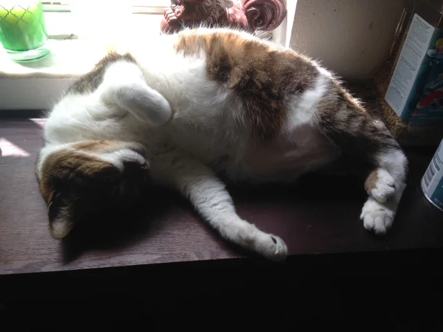 Mortimer, whose mind has been blown too many times to count.