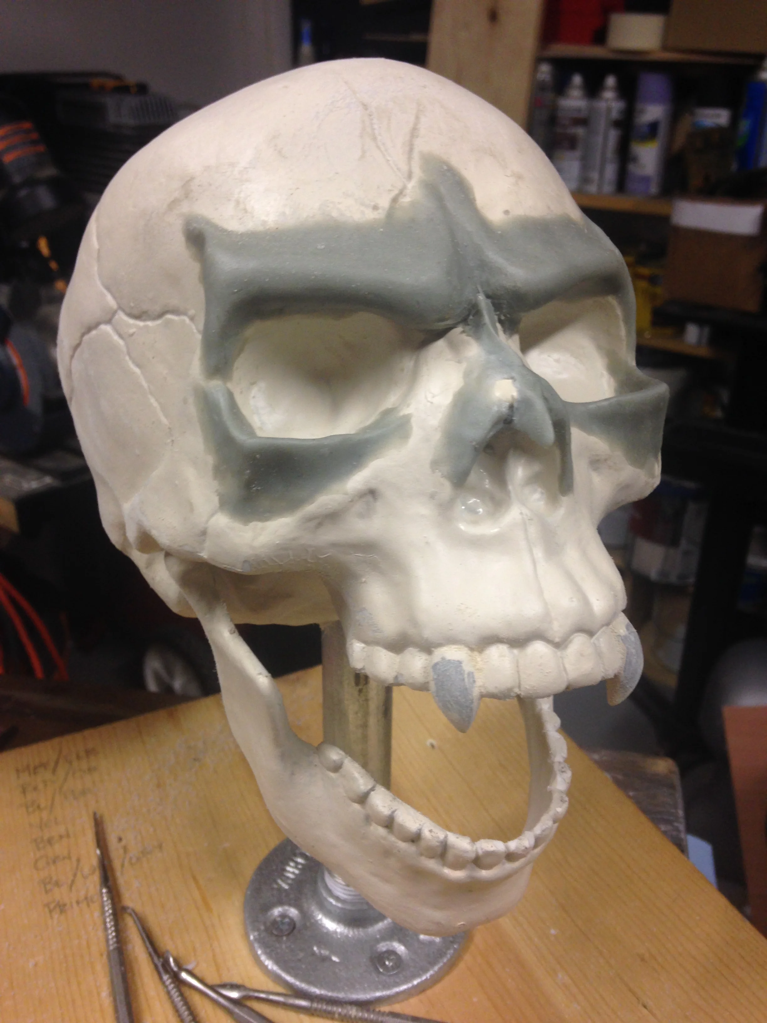 picdumpmar2015 007.JPG