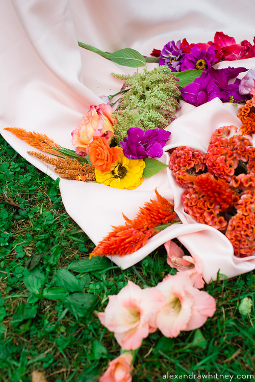 Burnside Shoot detail of spilled flowers.jpg