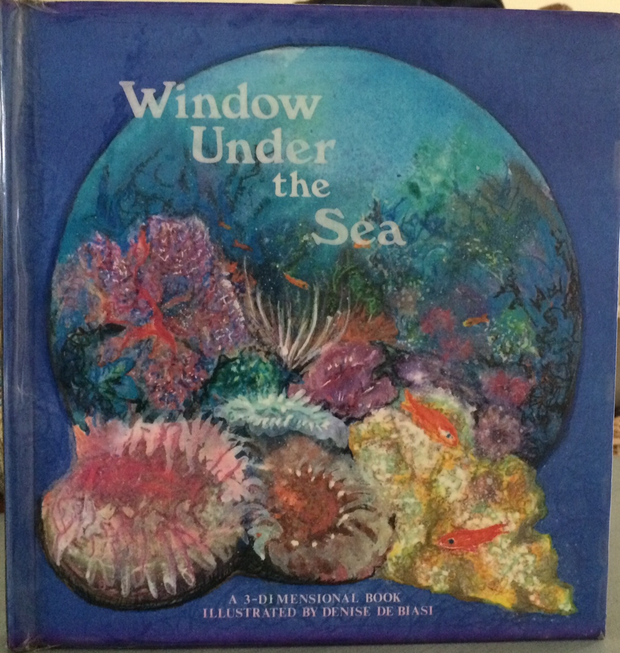 window under the sea.jpg