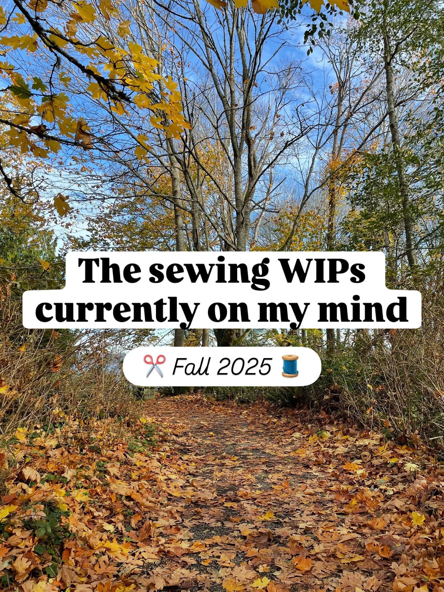 Lately my mind has been buzzing with lots of sewing projects. Swipe through to see what&rsquo;s been top of mind. 

1. Christmas Quilt 🎄 I found some fun Christmas themed quilting cottons at the local craft thrift store and immediately set about des