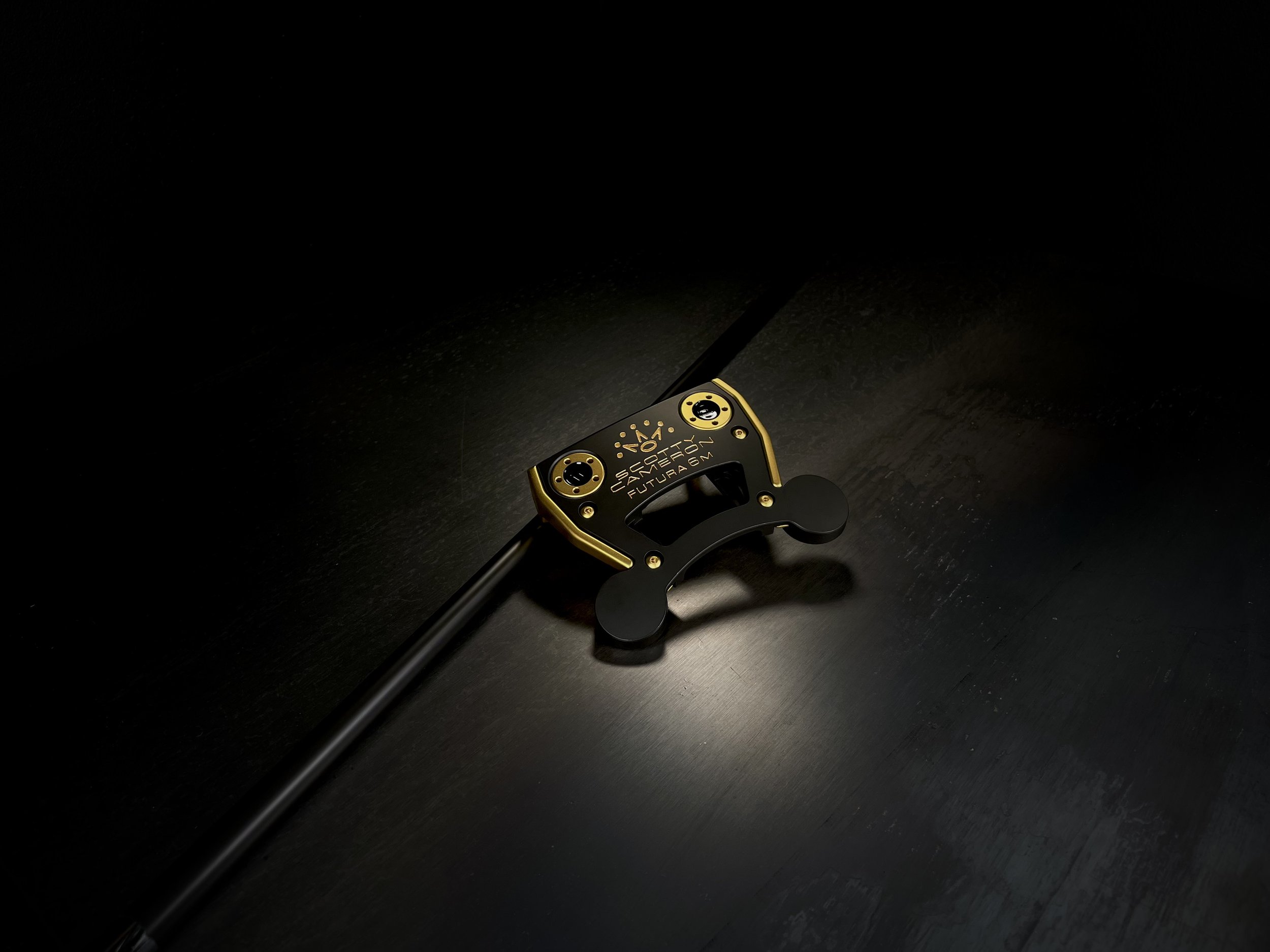  LXR Armor- Vegas Gold  Gen X Armor- BLX  Shaft Armor- BLX  Paint Fill- Black &amp; Metallic Gold 