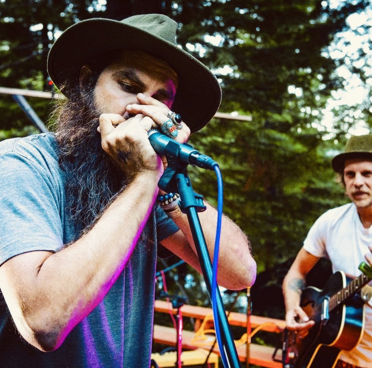 Harmonica forest.jpg