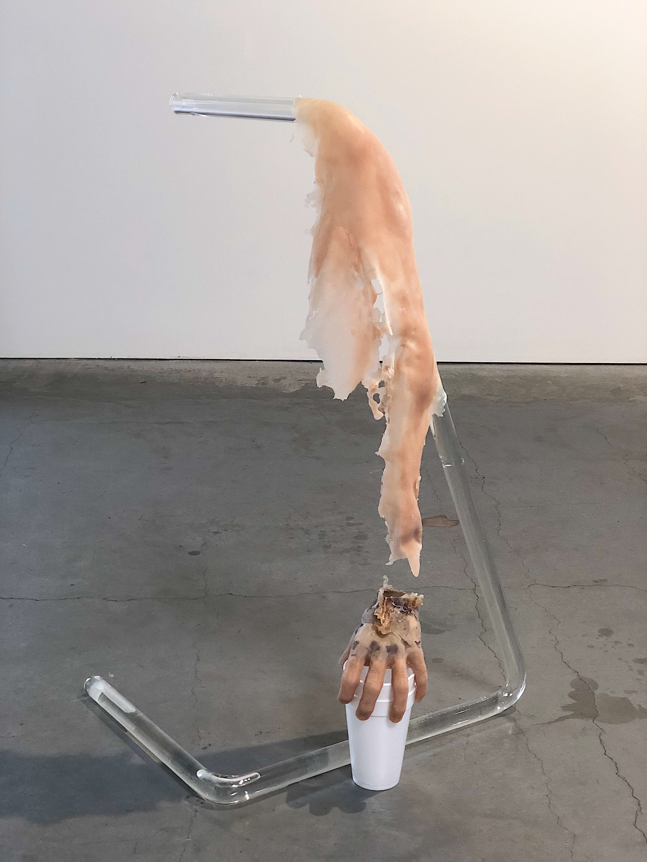   Lean’d out,  2019  silicone, glass, Patek water, styrofoam, hair 