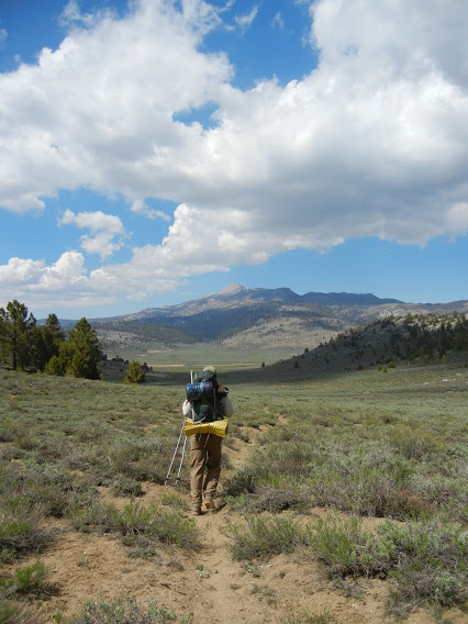 Setting forth from Kennedy Meadows into our 12-day section, with ideal trail conditions. The PCT is not marked with signs or blazes , so if the dirt trail is buried in snow it’s a guessing game as to where the actual trail is.