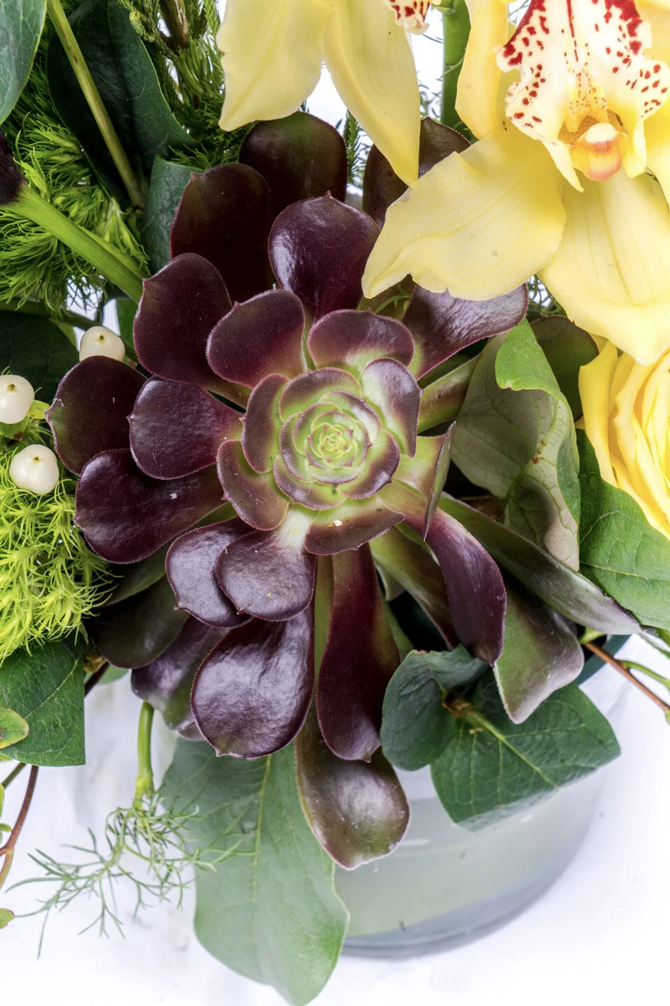 9808BEEB-8247-4F04-8AF8-0413DA6AA954