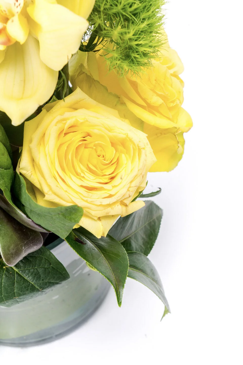 59FF70DE-1A84-44C8-96D5-546B69759258