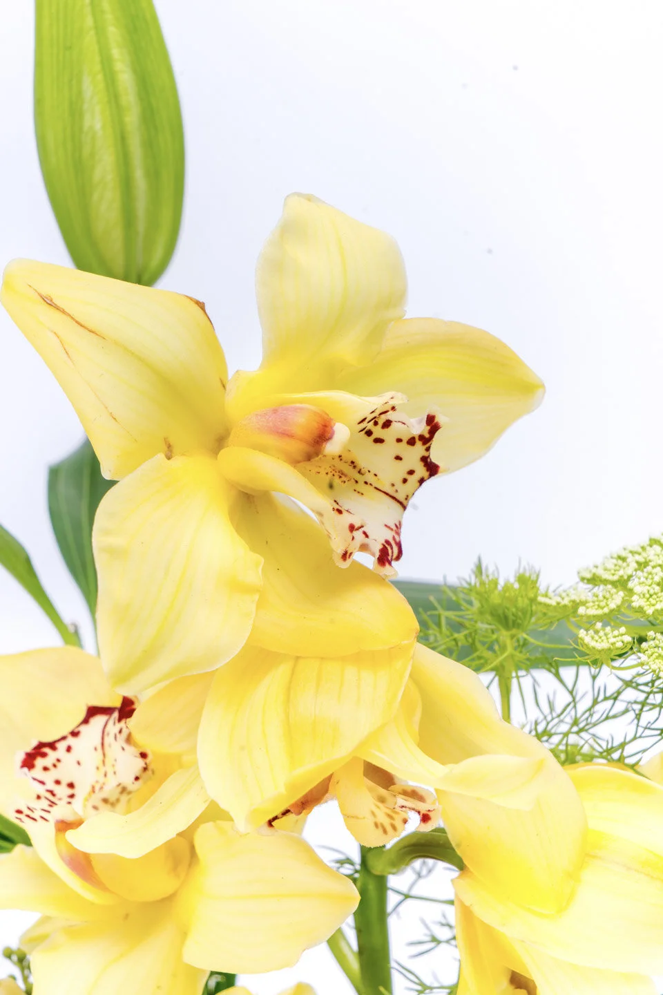 BC4F0E1B-E411-4467-A373-21736D3D15CF